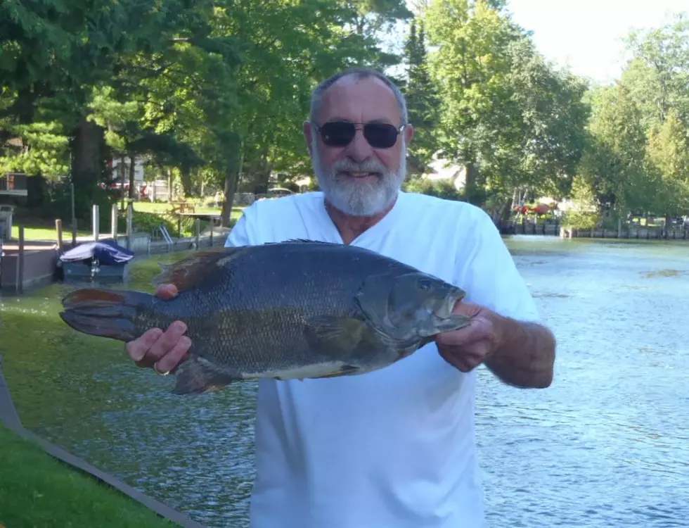 Record-Breaking Smallmouth Bass Catch Made in Michigan