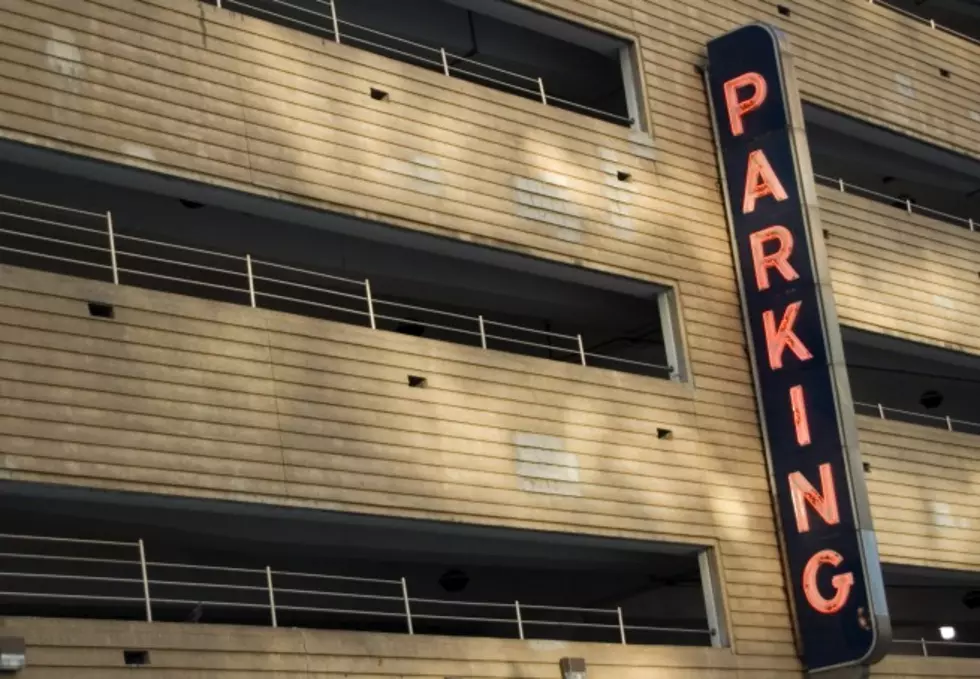 Where To Park for Kalamazoo Ribfest